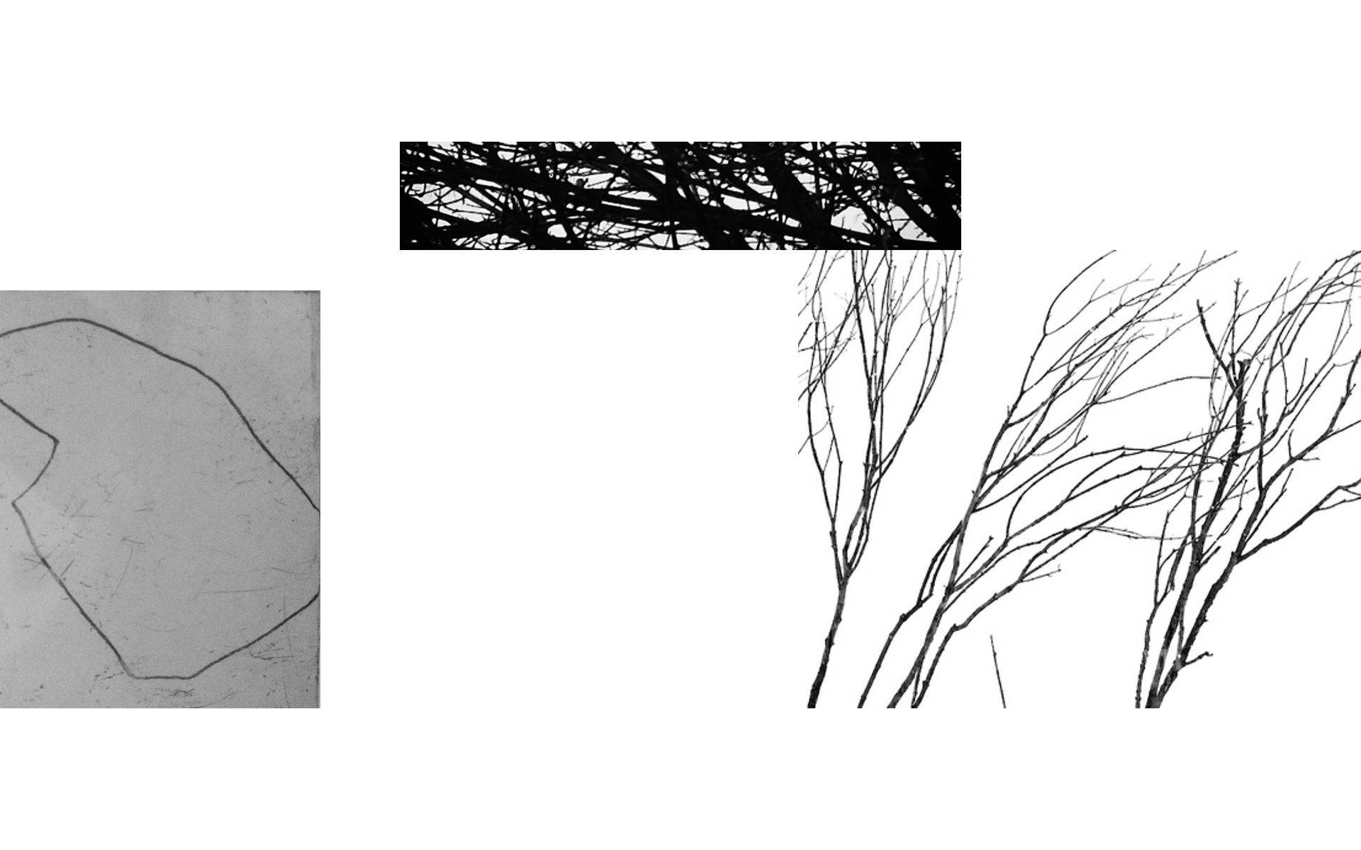 Rectilinear Series - Visual Studies