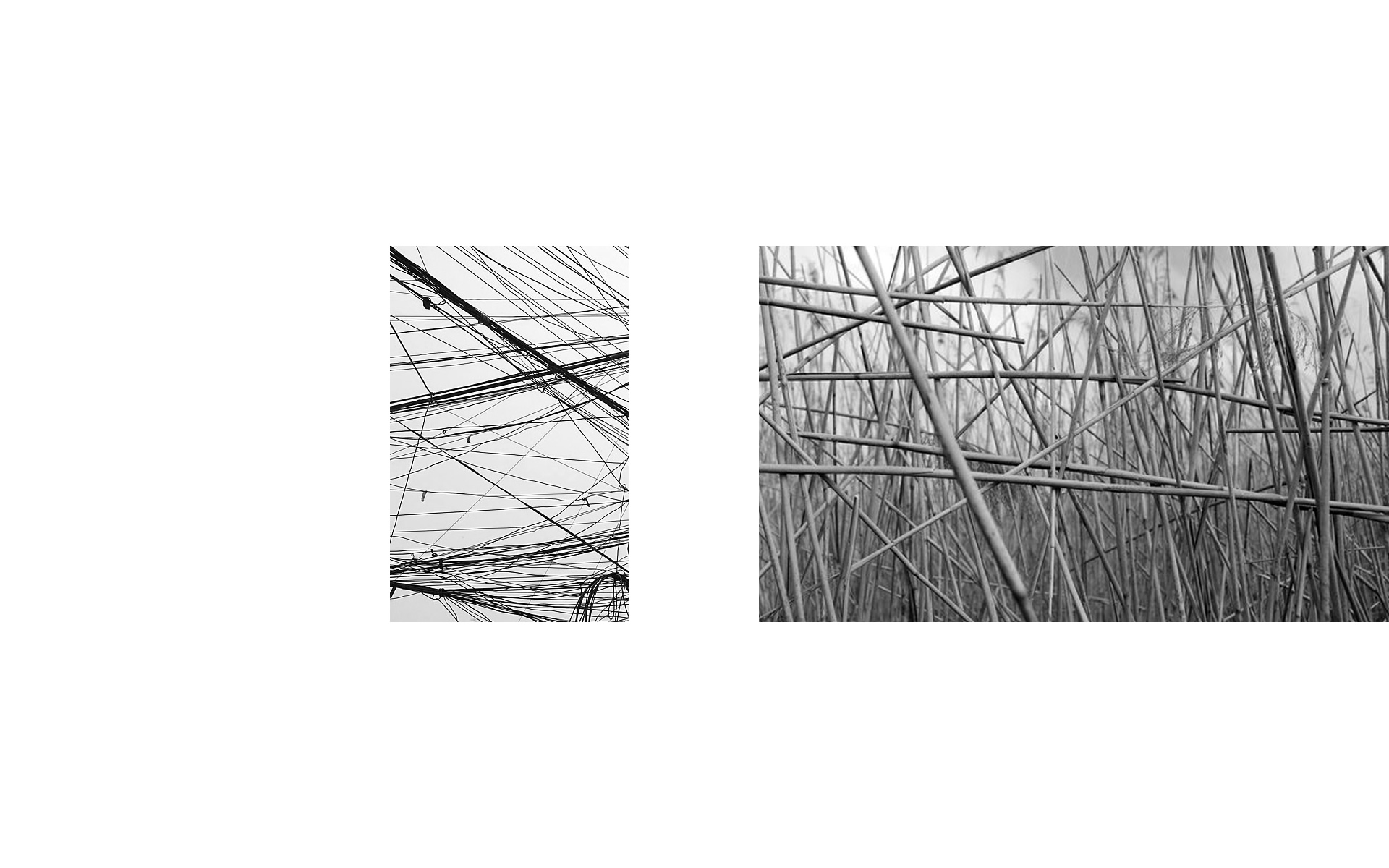 Rectilinear Series - Visual Studies